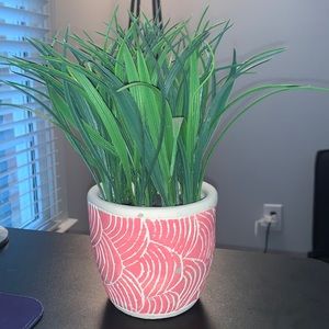 Fake succulent plant